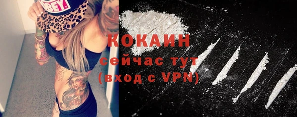 прущий лед Алексин