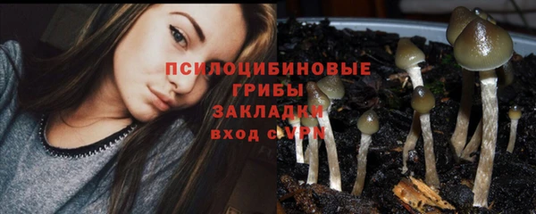 прущий лед Алексин