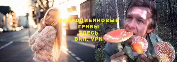 прущий лед Алексин