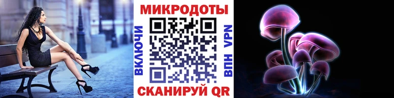 Галлюциногенные грибы мицелий купить Яровое